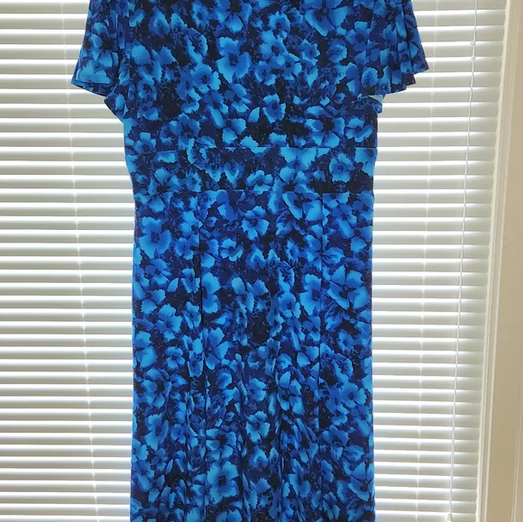 Chaps Dress - Picture 2 of 3